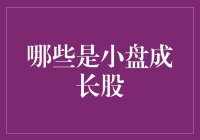 小盘成长股：投资未来，追逐梦想！