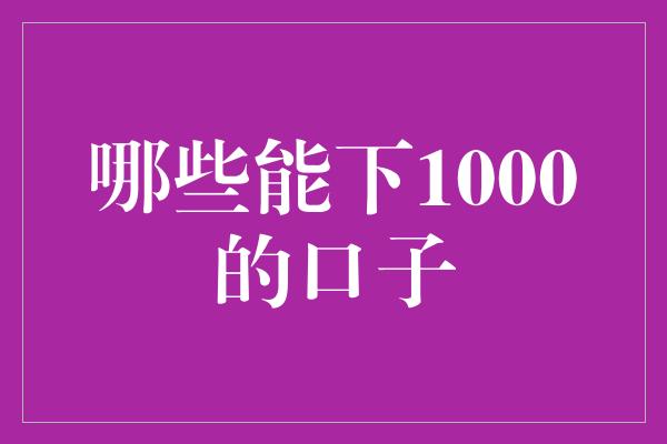 哪些能下1000的口子