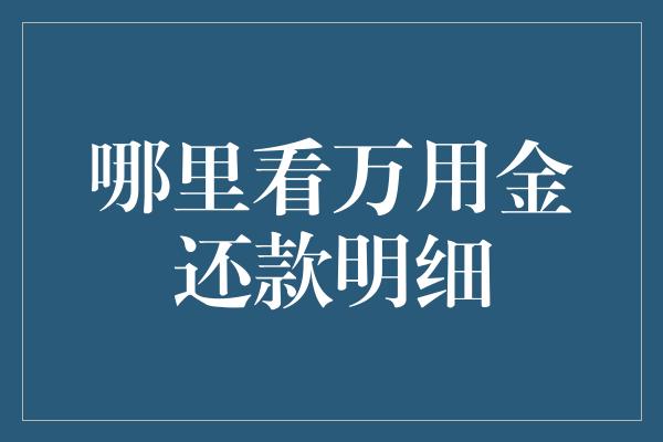 哪里看万用金还款明细