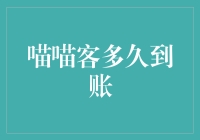 当猫猫们的银行账户被质疑：喵喵客到账的延迟可能是真相的尽头？