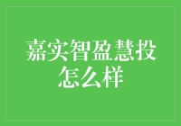 嘉实智盈慧投：智能投资策略解析与市场适应性评估