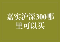 嘉实沪深300投资渠道：专业深度解析