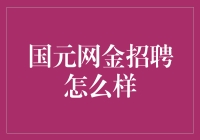 国元网金招聘：金融行业中的技术与创新之光