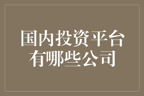 国内投资平台有哪些公司