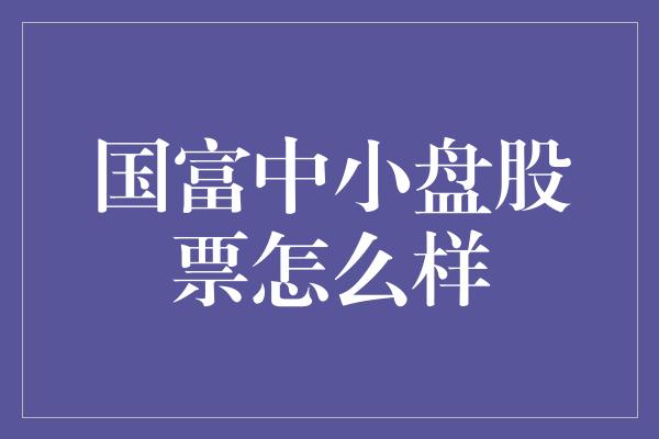 国富中小盘股票怎么样