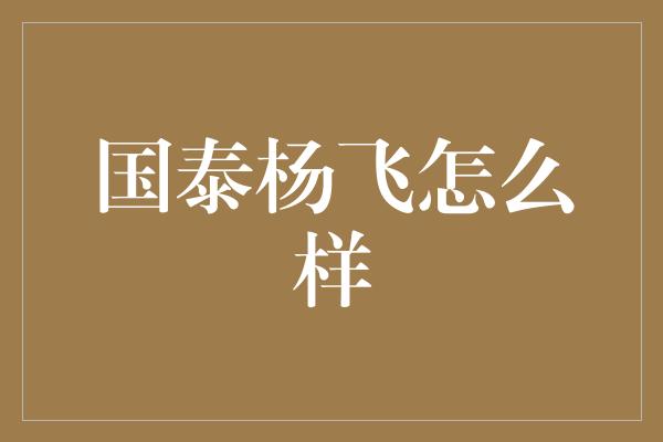 国泰杨飞怎么样