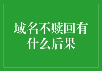 域名不赎回？你可能失去的不只是一个网站，还有一份灵魂