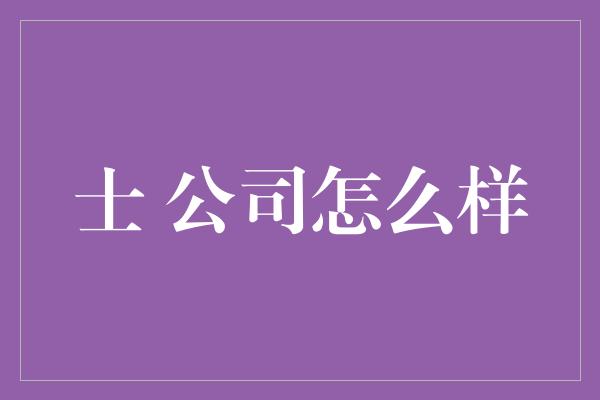 士 公司怎么样