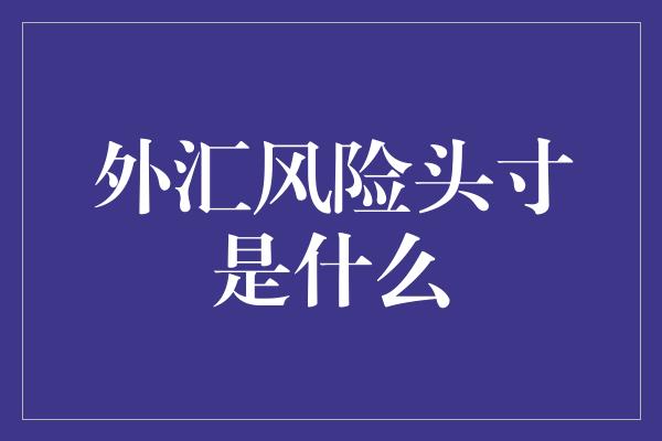 外汇风险头寸是什么