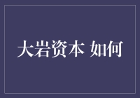 大岩资本：构建资产管理新生态的探索