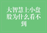 大智慧软件上为何小盘股难以发现？探究背后原因与对策