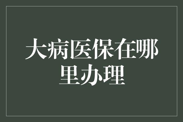 大病医保在哪里办理