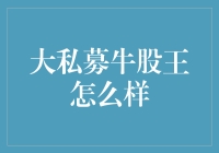 大私募牛股王：是股市中的明星，还是韭菜收割机？