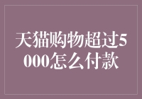 在天猫购物时单笔支付超过5000元的处理方法