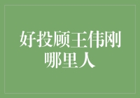 揭秘理财高手王伟刚：他的投资秘诀与成功故事