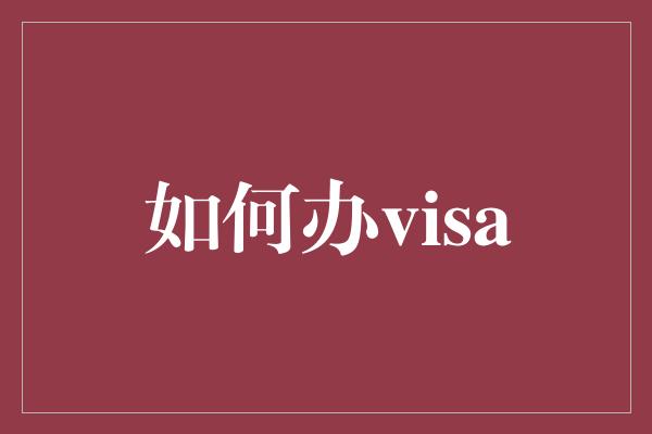 如何办visa