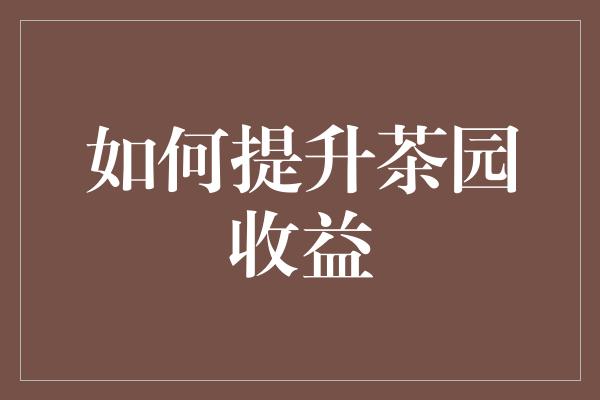 如何提升茶园收益