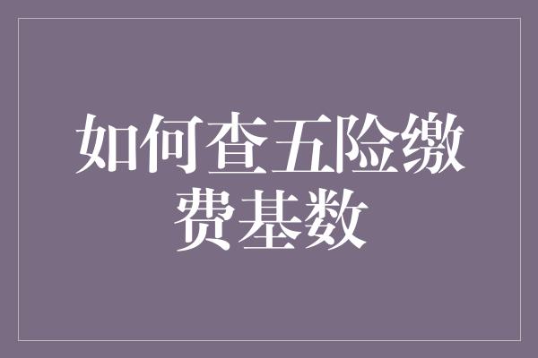 如何查五险缴费基数