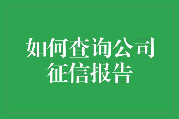 如何查询公司征信报告