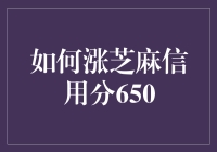 如何涨芝麻信用分至650分：构建坚实的信用基石