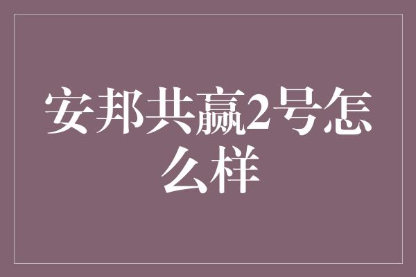 安邦共赢2号怎么样