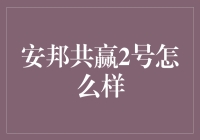 安邦共赢2号保险产品解读：稳健与增值的双重保障