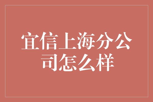 宜信上海分公司怎么样