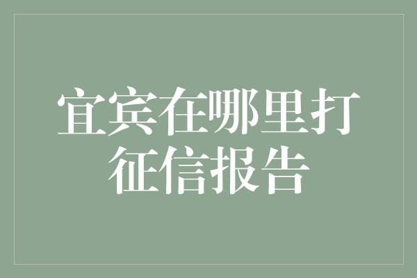 宜宾在哪里打征信报告