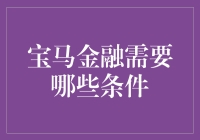 为什么宝马金融如此迷人？