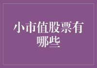 小市值股票投资指南：带你寻找那些角落里的璀璨明珠