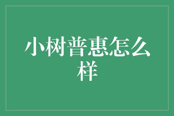 小树普惠怎么样