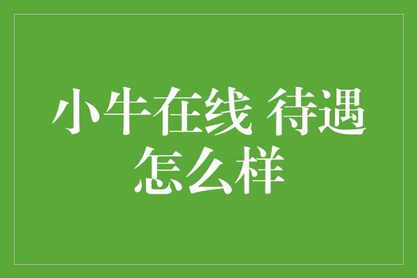 小牛在线 待遇怎么样