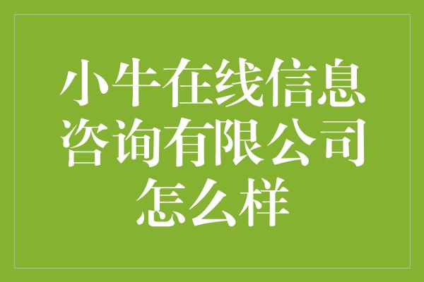 小牛在线信息咨询有限公司怎么样