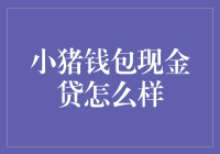 小猪钱包现金贷：一场猪猪的金融冒险