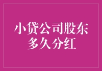 小贷公司股权激励机制解读：股东分红周期设定与优化实践