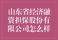 山东省经济融资担保股份有限公司：助力企业稳健发展的金融桥梁