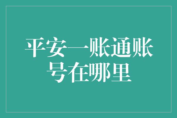 平安一账通账号在哪里