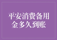 平安消费备用金到账时间解析与优化建议