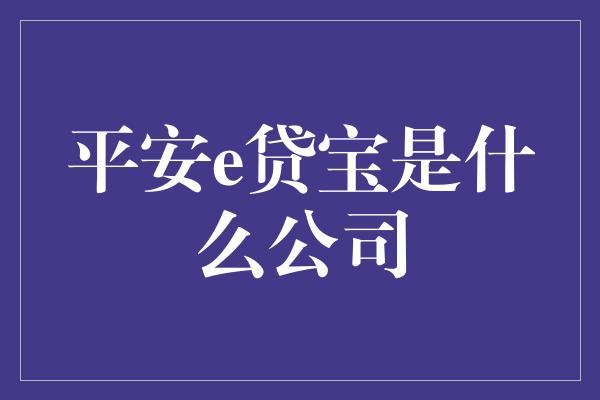 平安e贷宝是什么公司