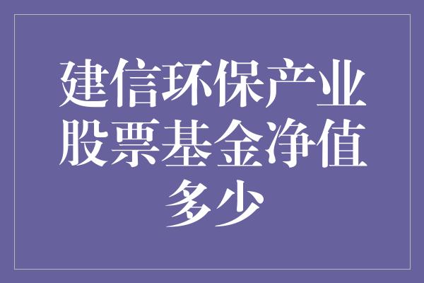 建信环保产业股票基金净值多少