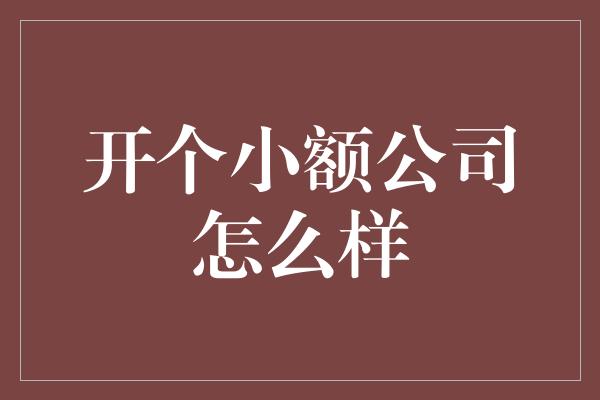 开个小额公司怎么样