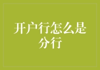 开户行怎么是分行？——揭秘金融术语的奇幻旅程