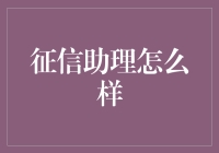 智能征信助理：开启信用评估的新纪元