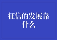 征信体系的健康成长：创新驱动与数据生态构建