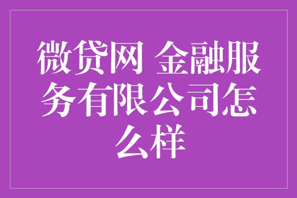 微贷网 金融服务有限公司怎么样