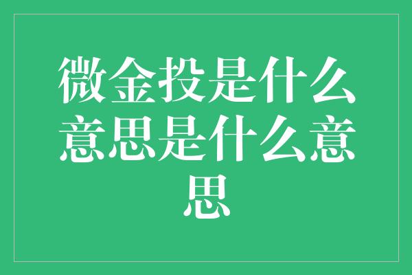 微金投是什么意思是什么意思