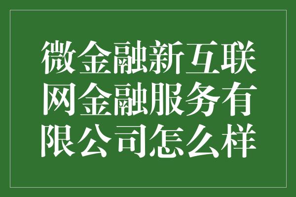 微金融新互联网金融服务有限公司怎么样