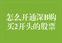 如何开通深B购买2开头的股票：探索深市B股投资之道