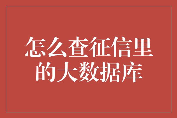 怎么查征信里的大数据库