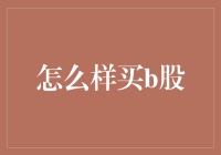 穿越股市迷雾：如何稳健购买B股？